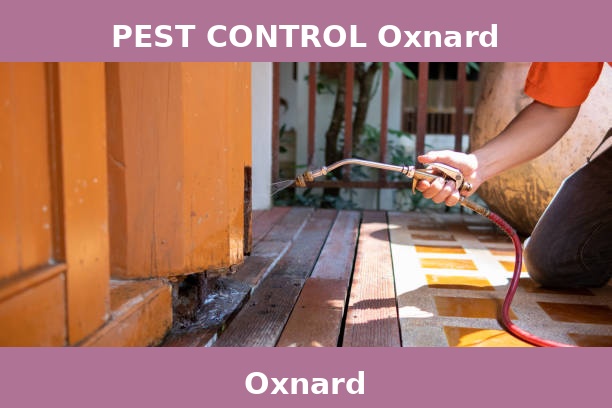 PEST CONTROL Oxnard